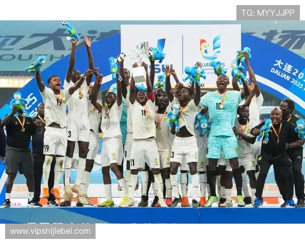 世界杯冠军分别是哪些国家，揭示夺冠国家的足球发展与实力提升路径