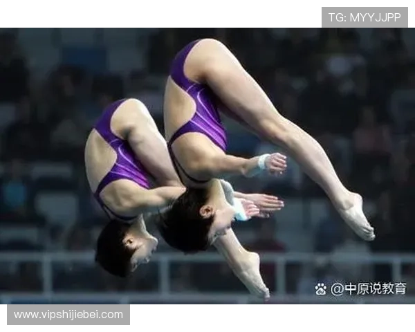 跳水世界杯每几年举行一次，赛事周期与国际跳水联合会的官方规定