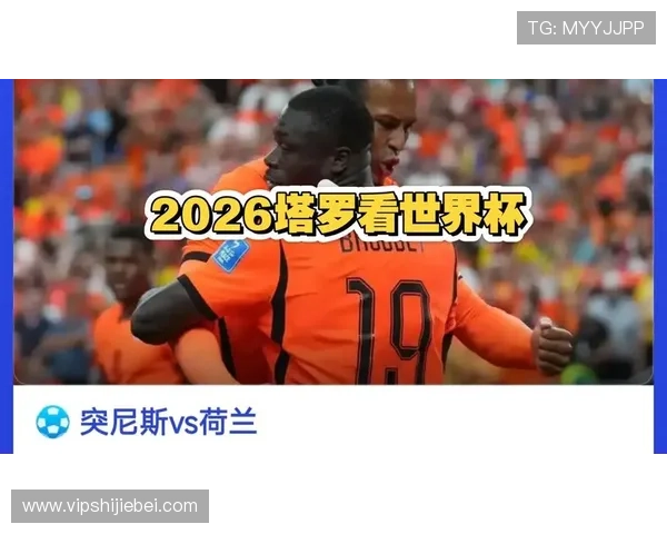 2026年世界杯突尼斯与荷兰比赛关键数据统计与战术分析报告